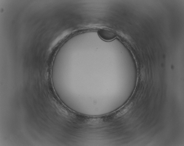 X0000062671406200601111232