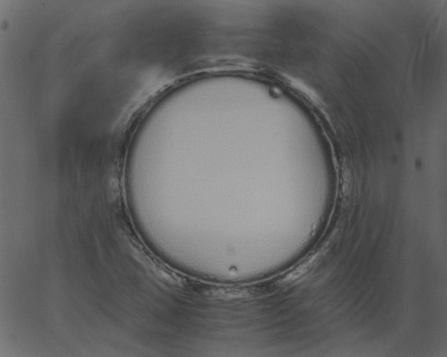 X0000062671407200601111232