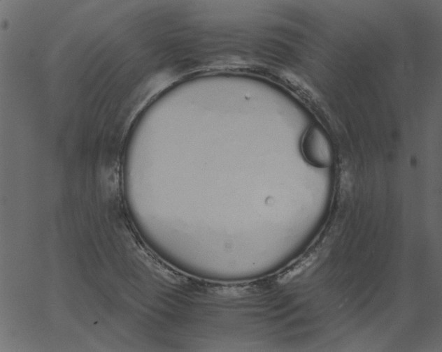 X0000062671409200601111232