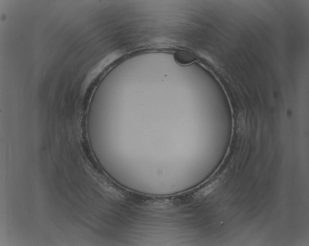 X0000062671410200601111232