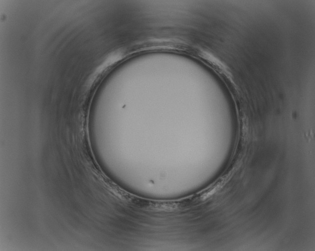 X0000062671411200601111232