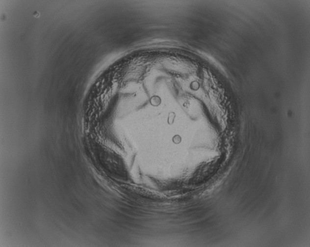 X0000062671413200601111232