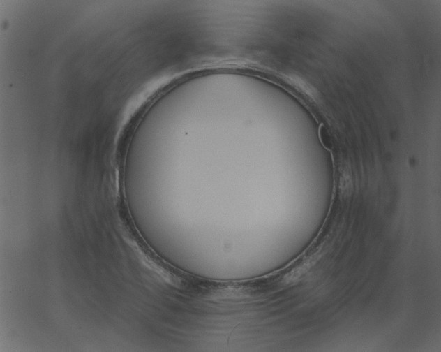 X0000062671414200601111232