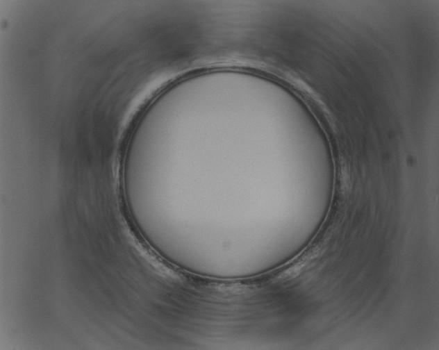 X0000062671416200601111232