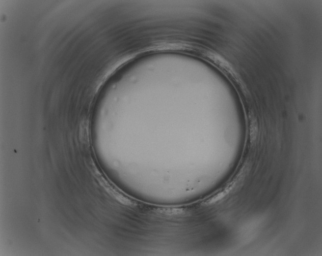 X0000062671417200601111232