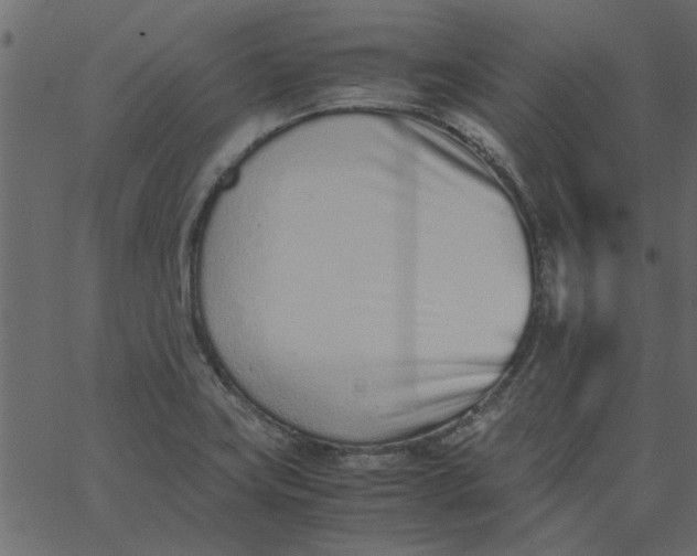 X0000062671419200601111232