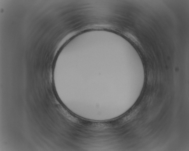 X0000062671420200601111232