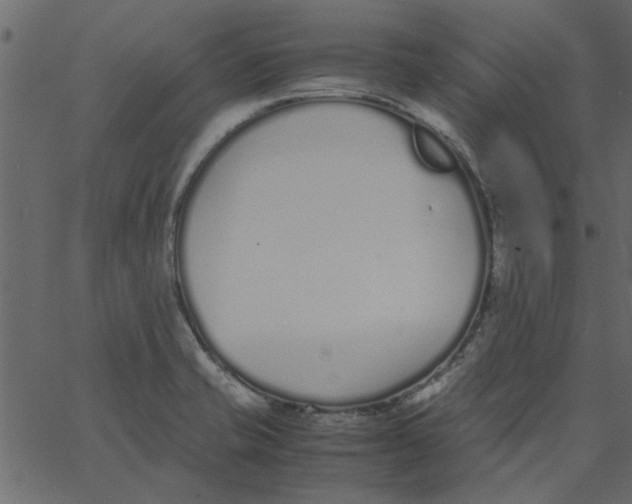 X0000062671421200601111232