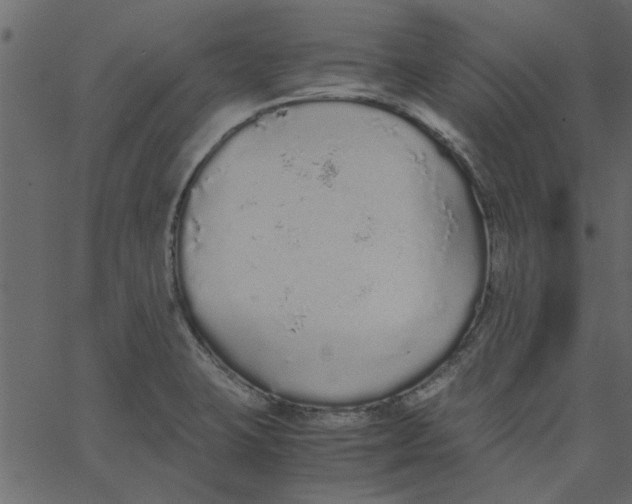 X0000062671423200601111232