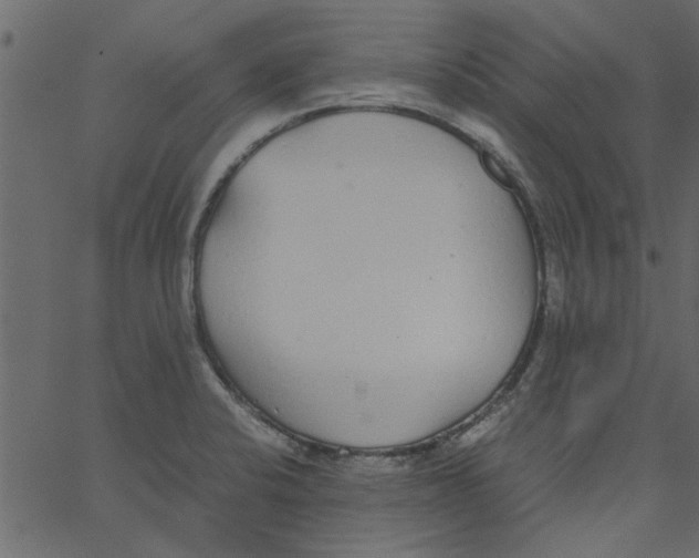 X0000062671424200601111232