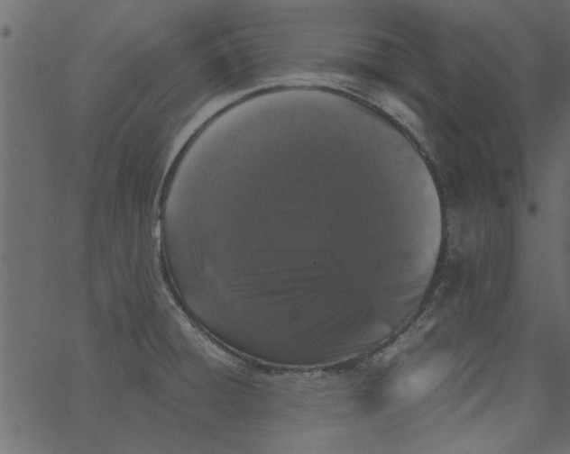 X0000062671428200601111232