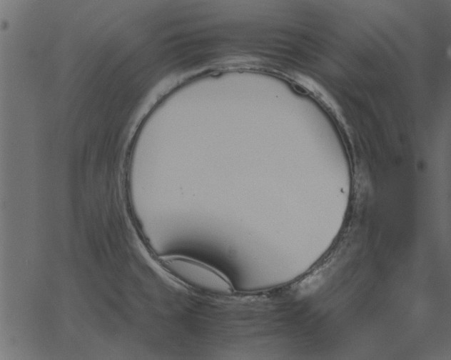 X0000062671429200601111232