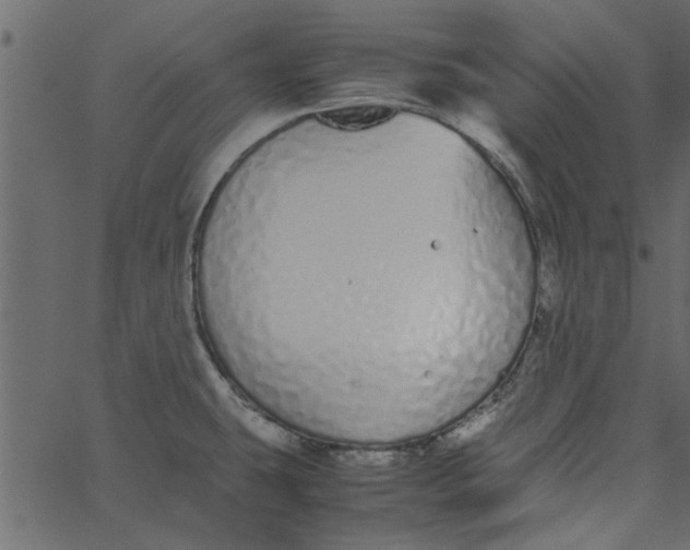 X0000062671431200601111232