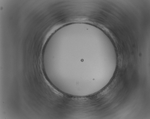 X0000062671432200601111232