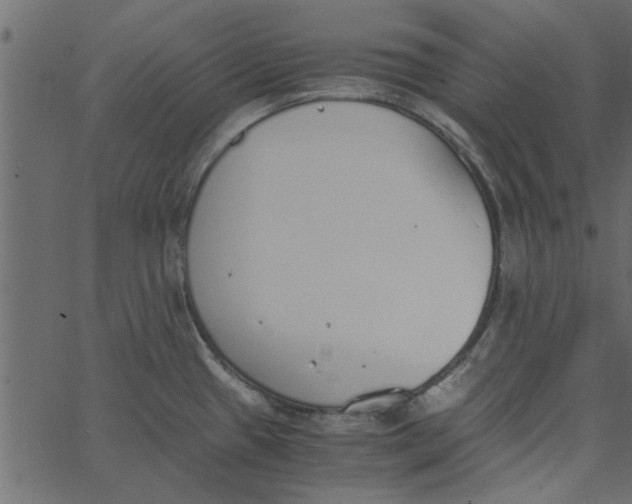 X0000062671433200601111232