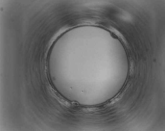 X0000062671435200601111232