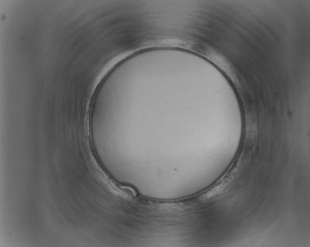 X0000062671436200601111232