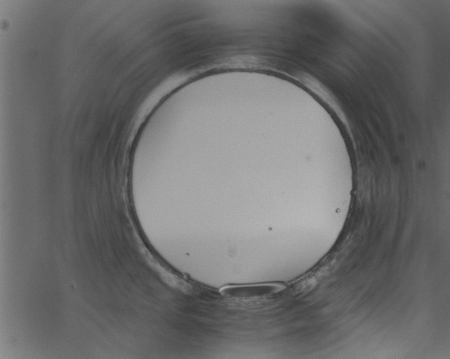 X0000062671437200601111232