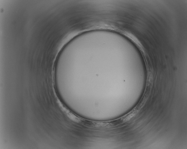 X0000062671439200601111232