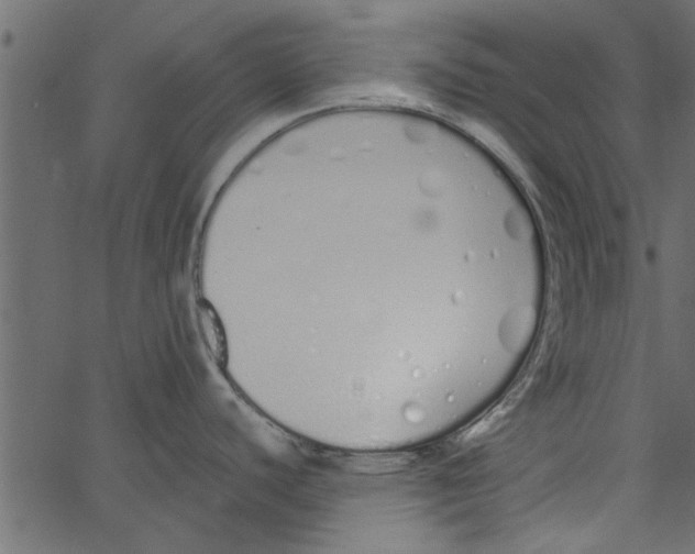 X0000062671440200601111232