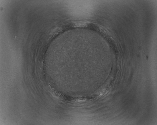 X0000062671441200601111232