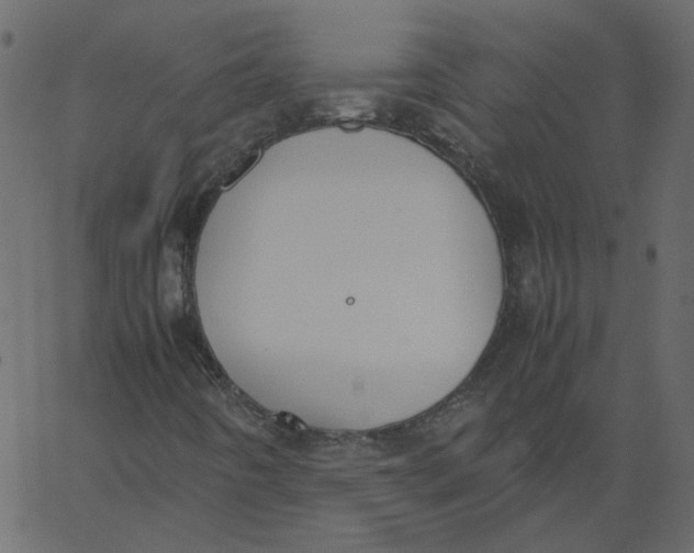 X0000062671442200601111232