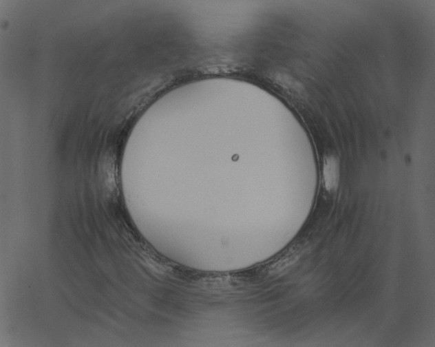 X0000062671444200601111232