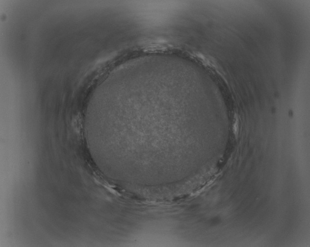 X0000062671445200601111232