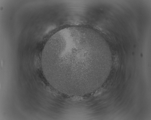 X0000062671446200601111232