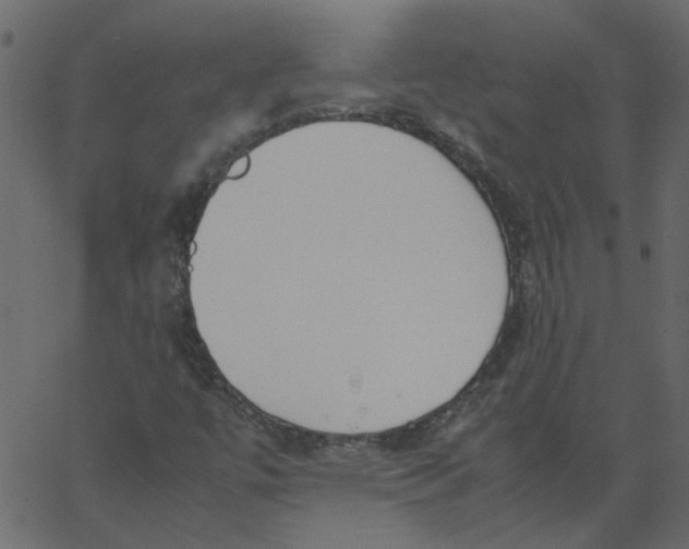 X0000062671447200601111232