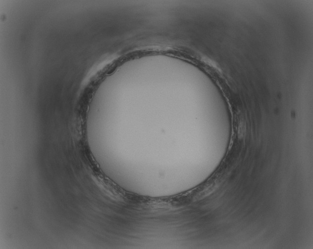 X0000062671448200601111232