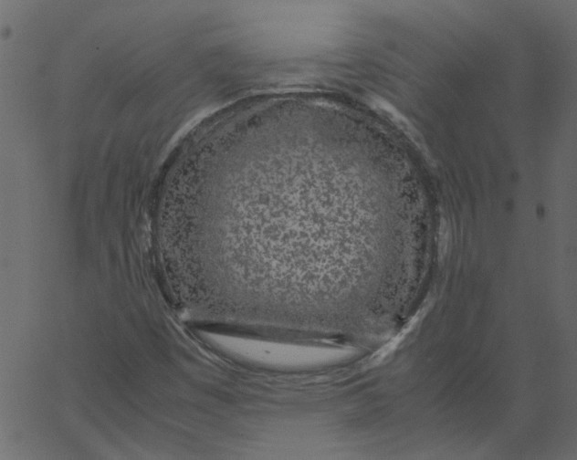 X0000062671449200601111232