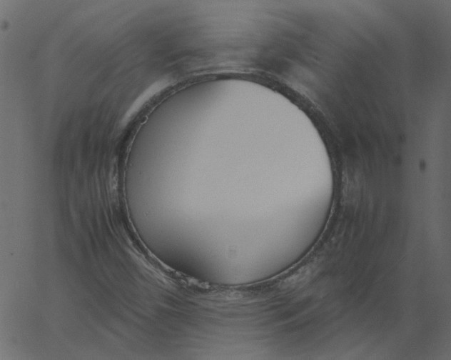 X0000062671450200601111231