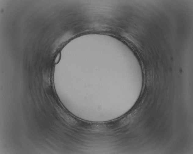 X0000062671451200601111231