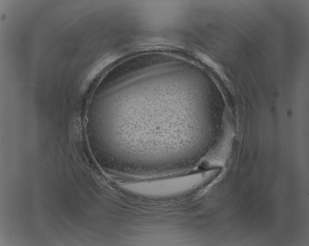 X0000062671453200601111231