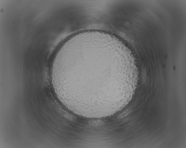 X0000062671454200601111231