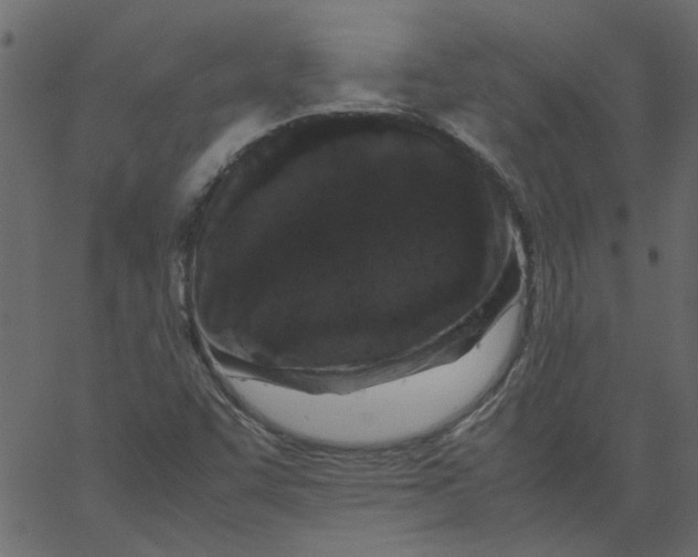 X0000062671455200601111231