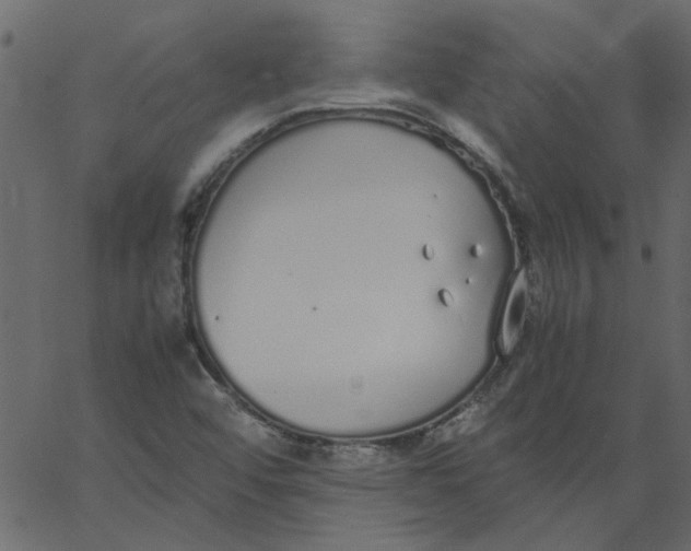 X0000062671456200601111231