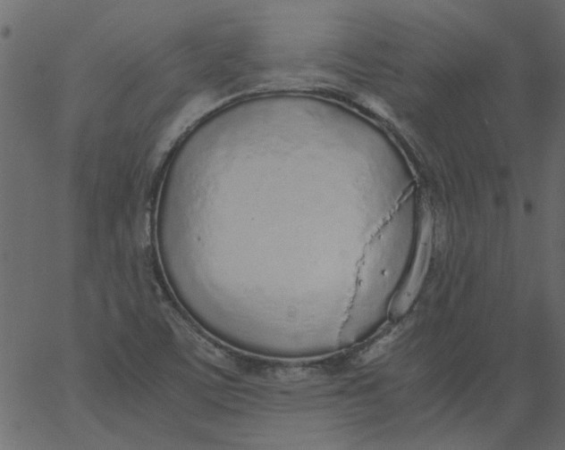 X0000062671459200601111231