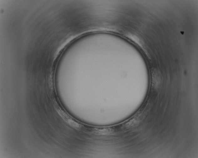 X0000062671460200601111231