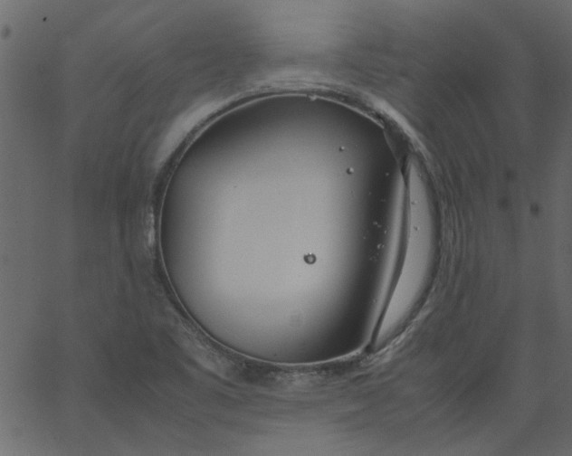 X0000062671461200601111231