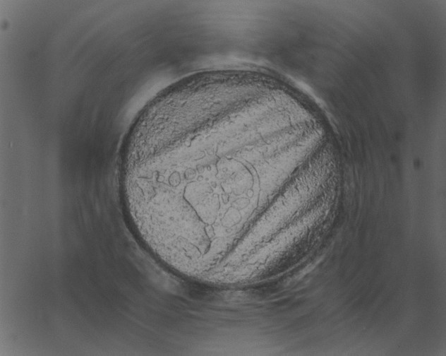 X0000062671463200601111231