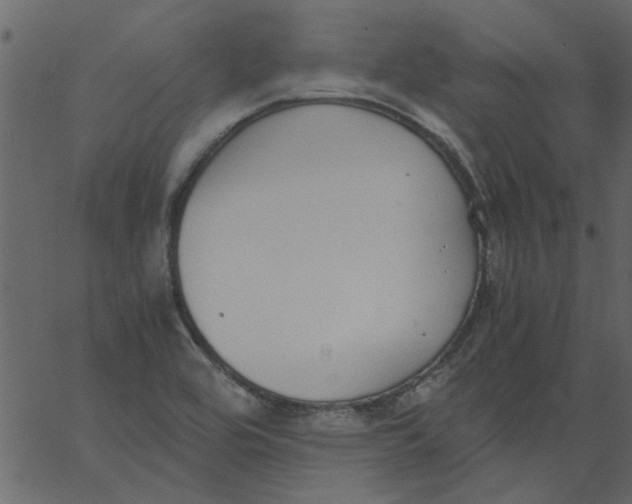 X0000062671464200601111231