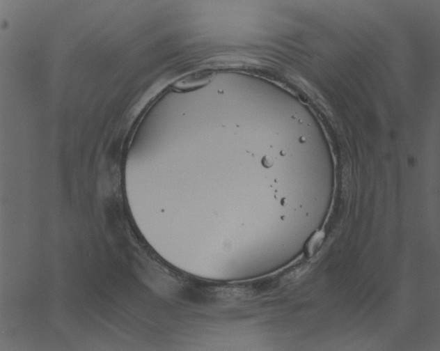 X0000062671465200601111231