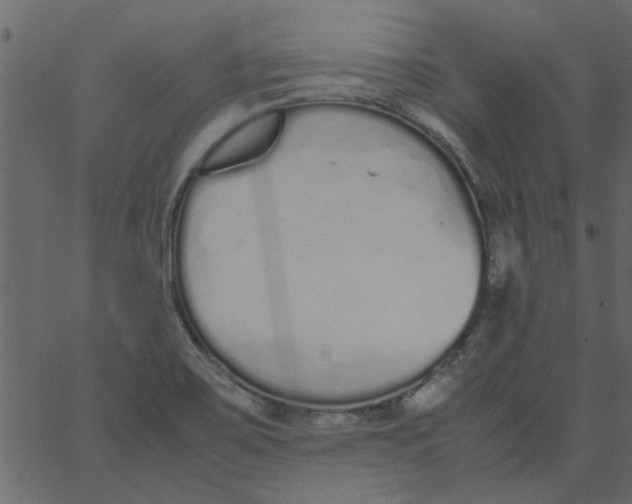 X0000062671467200601111231