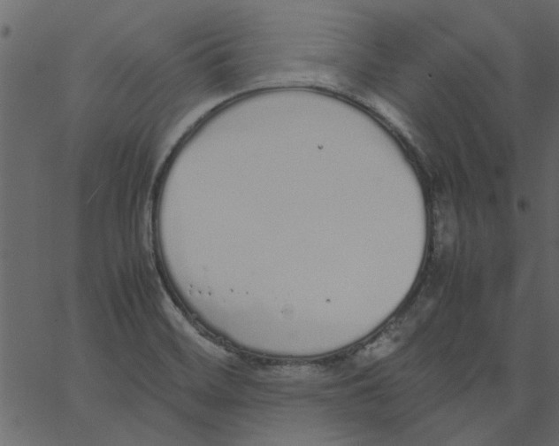 X0000062671468200601111231