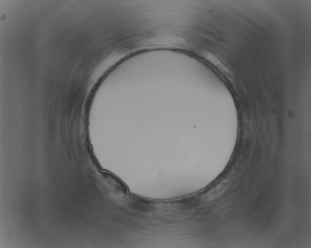 X0000062671469200601111231