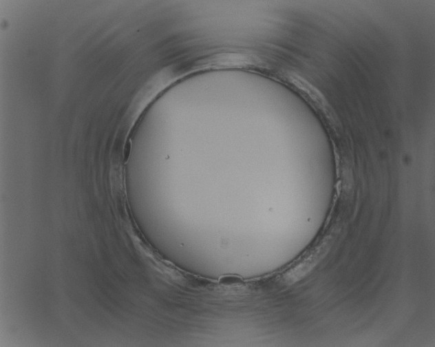 X0000062671473200601111231