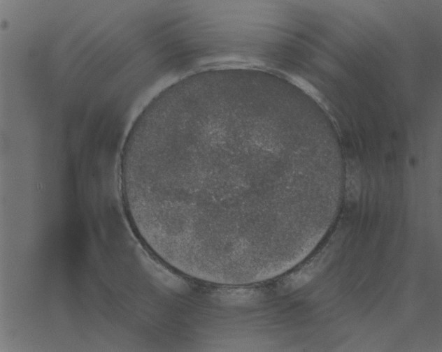 X0000062671474200601111231