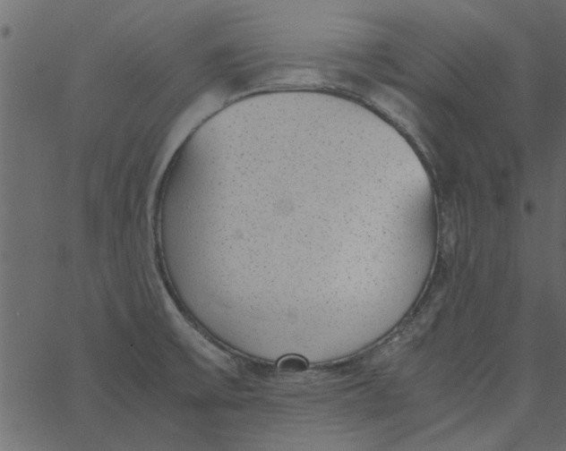 X0000062671475200601111231